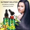 Hair Regrow 7 Day, Ginger Germinal Essential Oil Hair Growth Hair Loss Treatment Hair Care Hair Growth Serum for Men & Women 30ml